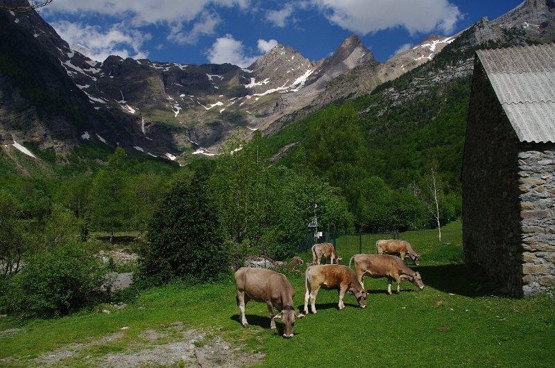 Bungalows Pena Montanesa Ainsa Luaran gambar